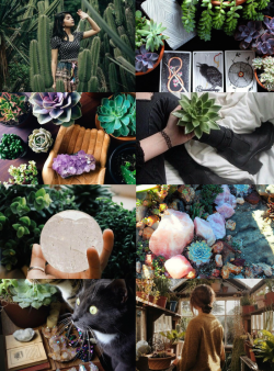 mypieceofculture: Witch Aesthetics // Cactus-Succulent Witch Requested Bone Witch | Kitchen Witch | Moon Witch (Light) | Moon Witch (Dark) |  Christmas Witch 