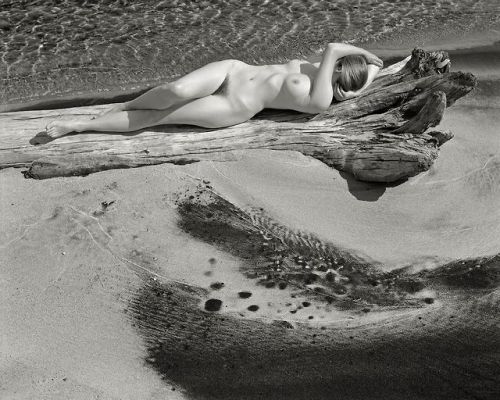 fragrantblossoms: Craig Blacklock, A Voice Within- The Lake Superior Nudes (photobook), 2004.  