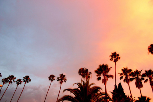 wgsn: A multicolor sunset for today’s #inspiration. 