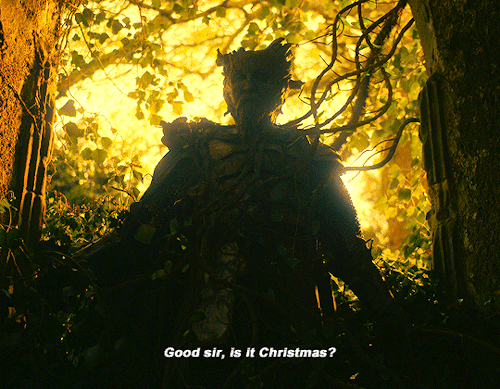 The Green Knight (2021), Dir. David Lowery