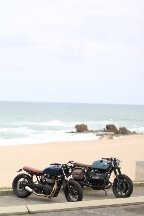 | Epicurial Motorcycle | Wheels & Waves |