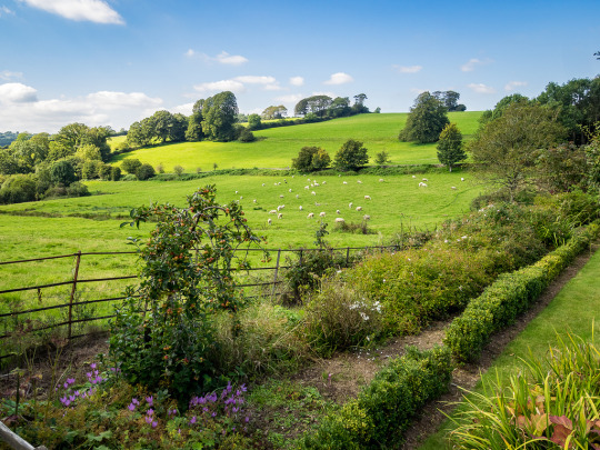 Buckland Abbey View, Cornwall by Bob Radlinski