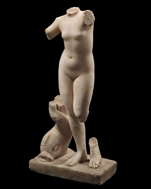 rodonnell-hixenbaugh:Roman Marble Aphrodite AnadyomeneAn ancient Roman marble statuette of Aphrodite