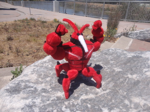 sqishyrina: Just finished making a Buzzwole plush! He took quite a while, and has a LOT of fine deta