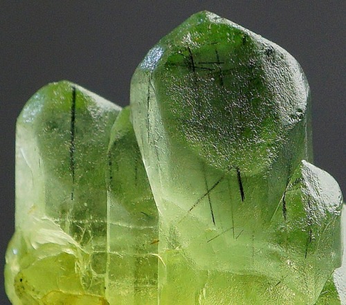 bijoux-et-mineraux:Peridot with Ludwigite inclusions - Soppat, Kaghan Valley, Kohisthan, Pakistan