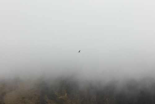 culturenlifestyle:Ethereal & Minimalist Landscapes of Iceland by Aniruddha Satam in Faune Magazi