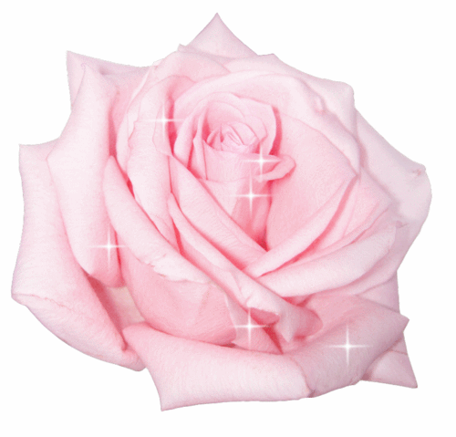 y2kbae:  ✨💖💎y2kbae 4 Eva💎💖✨