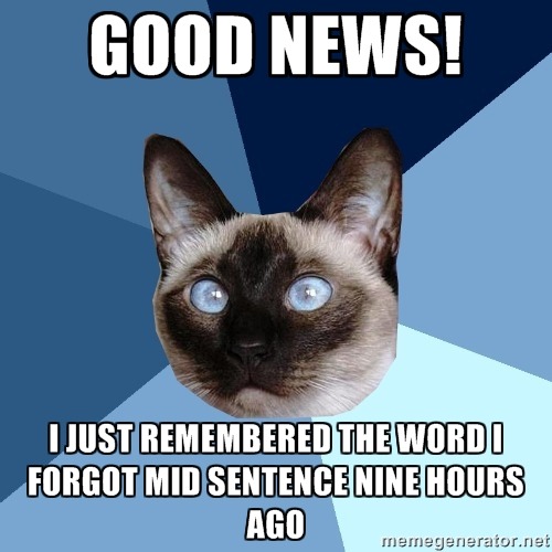 chronic-illness-cat:  from the amazing chronic-cuteness.tumblr.com [picture of a Siamese cat’s head against a triangle-sectioned background with many shades of blue. Top line of text reads: “Good news!” Bottom line of text reads: “I just remembered