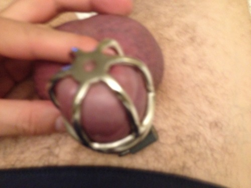 therealruffgem:  Me locked into my new metal porn pictures