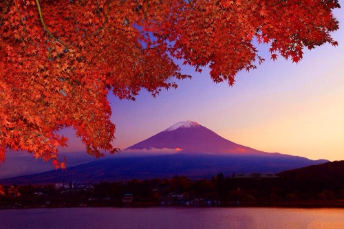 zekkei-beautiful-scenery:  Mt.Fuji Japan 富士山 日本の絶景 Zekkei Beautiful Breathtaking Scenery をアップ♫Oct.25 2013 03:15 画像→ 