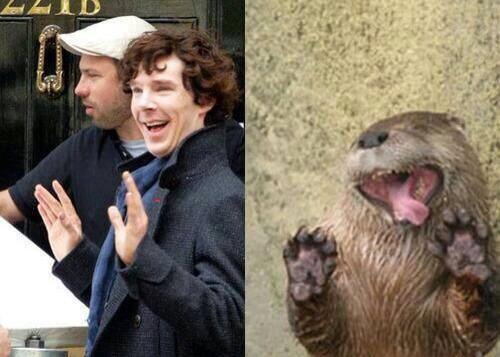 violinist-in-the-tardis: siriuslybenaddicted:  I’m not sorry for the amount of