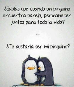 ciudadtraicionera:  andrespabonblr:  ¿?   Mi didi