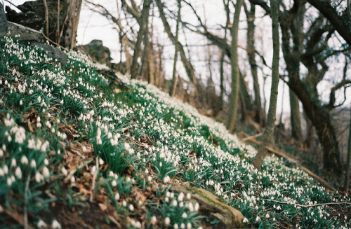 Spring on Flickr.