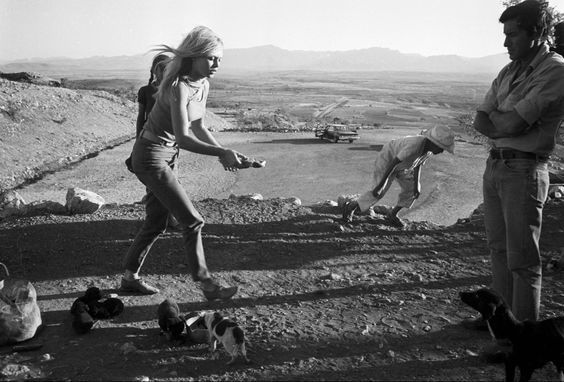 Brigitte Bardot giving food and water to stray dogs during the filming of “Viva Maria” in Mexico, 1965