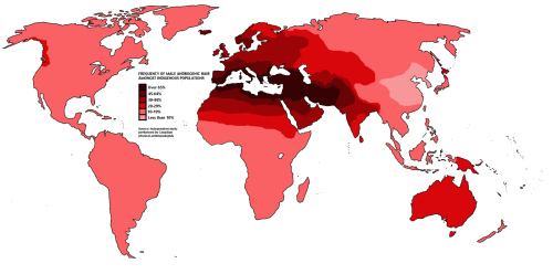 charizord - smatter - righteoussness - mapsontheweb - Male...