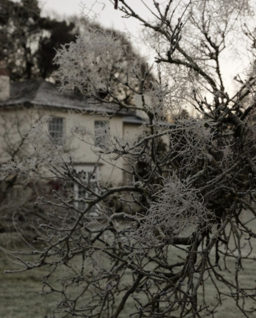 Herefordshire, England // Harriet Yomargey