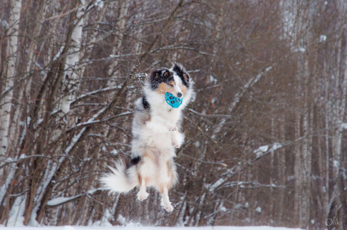 Sam and blue ball ~