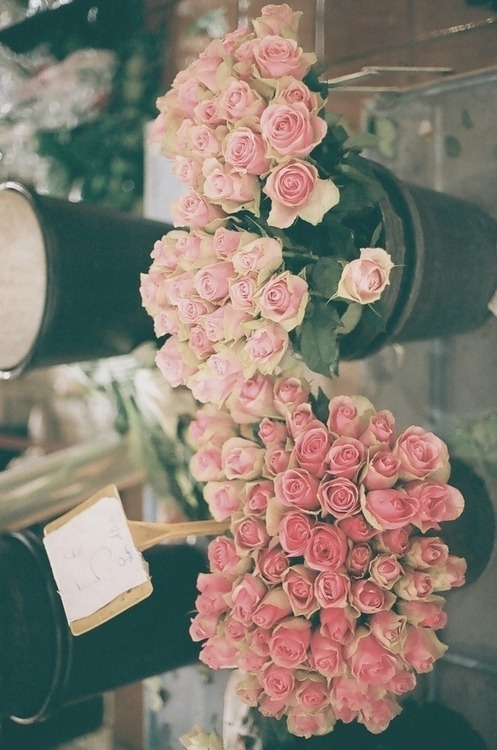 yohannatulio:  (16) Tumblr on We Heart It. http://weheartit.com/entry/70836197/via/misOoO