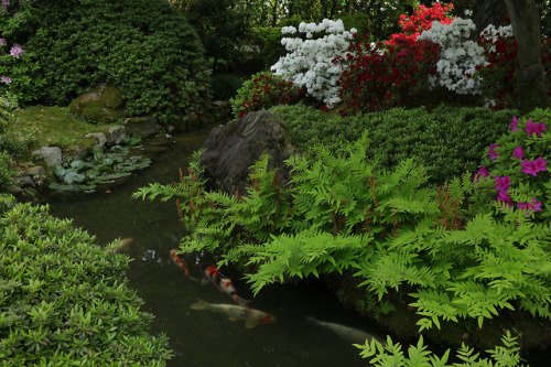 90377: Zen Garden - Kyoto Hosen-in, Azalea Garden / Mimuroto -ji temple and Kyoto Jonan-gu Muromachi