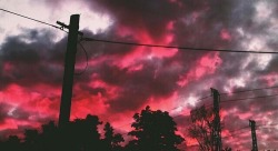 ampleaesthetics:Red skies in the morning