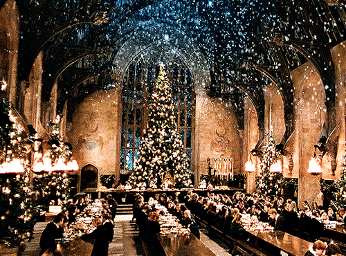 HARRY POTTER AND THE CHAMBER OF SECRETS 2002 | Dir. Chris Columbus 