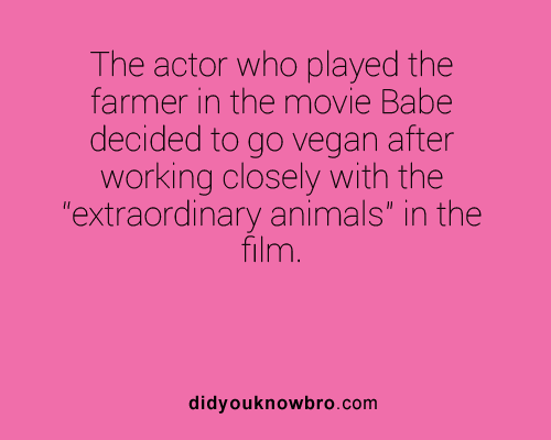 psychofactz:  Follow DidYouKnowBro.com For More Interesting Weird Fun Facts 