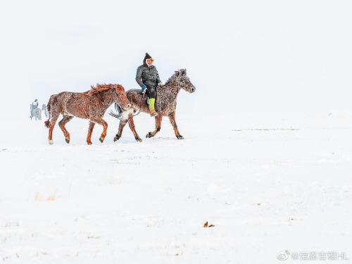 Winter life for people living in Buryat, Hulun Buir Grassland. Photo by 诺恩吉雅HL.