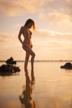 artisticallyundressed:  Golden Morning Light,