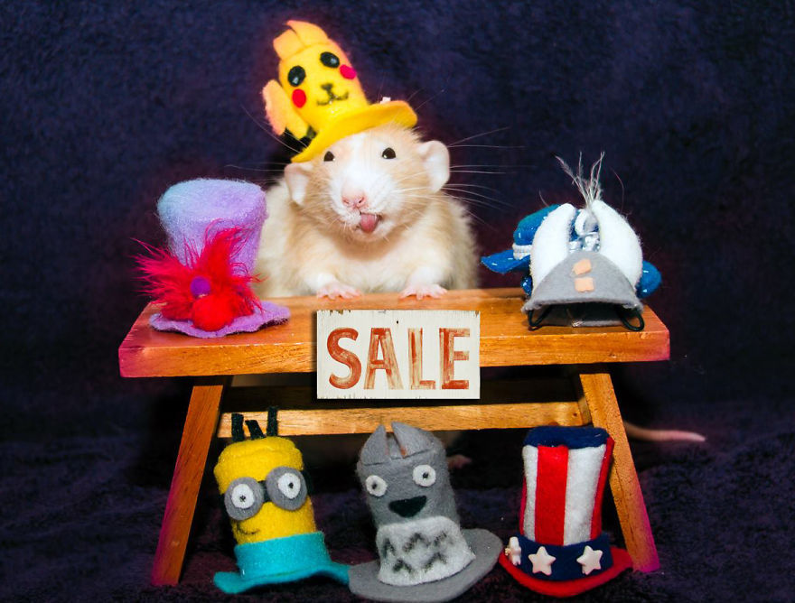 tastefullyoffensive:  The Adorable Adventures of Marty Mouse (photos via MartyMouseHouse)Previously: The