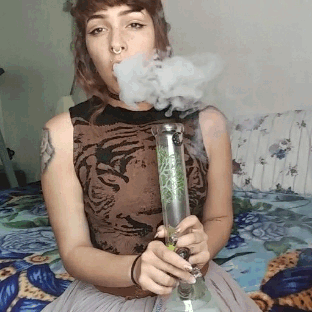 highhoneypiee:The high life, get ya mind right