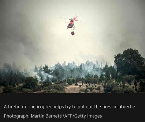 voiceless-uroboros: My country is burning and we need help. It’s been almost a week and the fi
