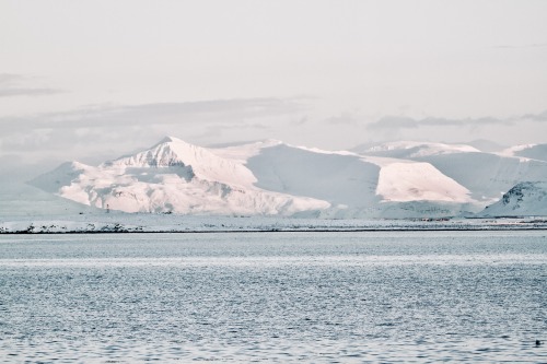 highways-are-liminal-spaces:Winter in Iceland