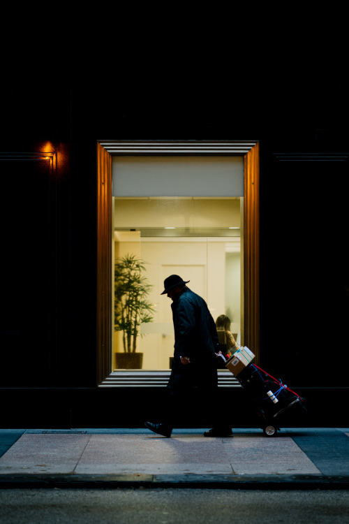 Chicago Strolls.