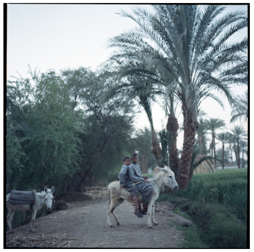 Pauline Beugnies: Forgotten peasants - 2013-Ongoing The Egyptians fellahin (peasants) - icons of a n