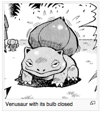 fox-city:  gogglesaurus:  this pic fucks me up every time i look at it  its just a big bulbasaur……… 