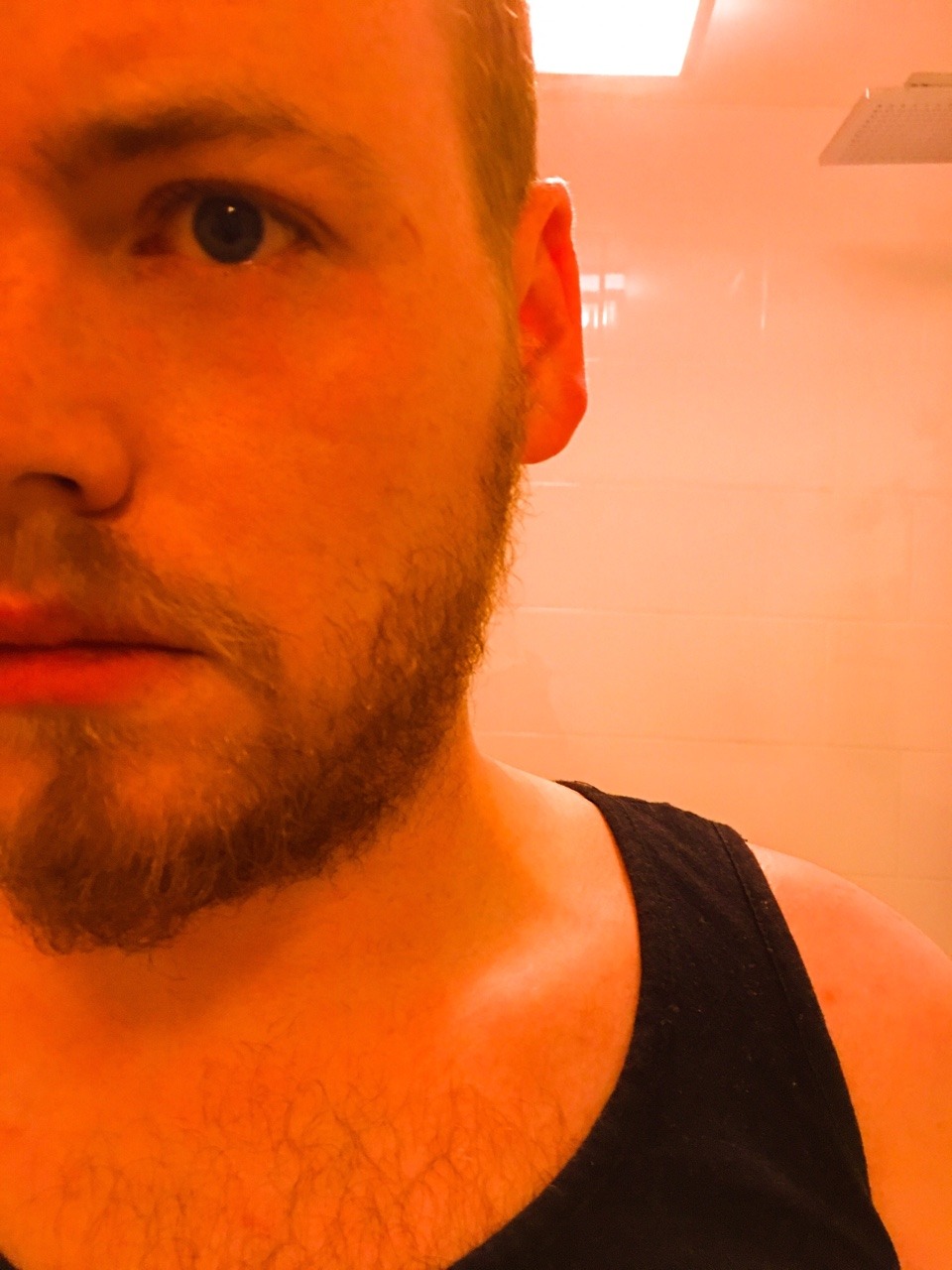 cynicalhippie: I walked face first into a street sign a few weeks ago because I’m