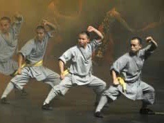 kung fu martial artists