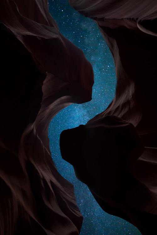 intotheclearing:by Mark Basarab