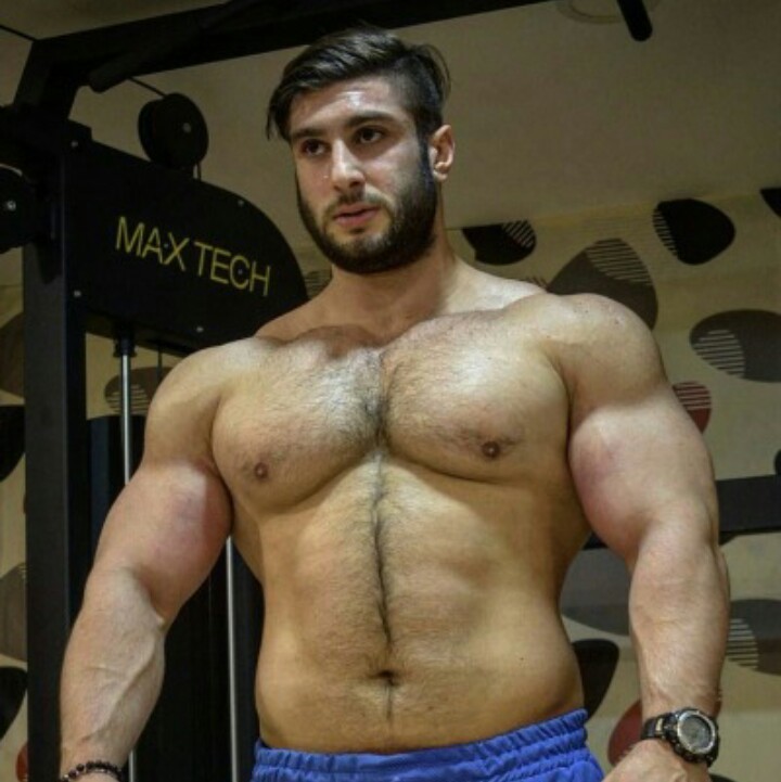 bornforbodybuilding:Harun Yilmaz