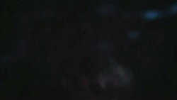 solohux-main: why didn‘t you do more?