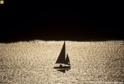 nationalpostphotos:  Sailing into sunset