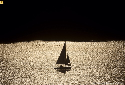 nationalpostphotos:  Sailing into sunset — A sailing boat makes its way along the Ottawa river Tuesday October 1, 2013 in Ottawa, Ontario, Canada. THE CANADIAN PRESS/Adrian Wyld 