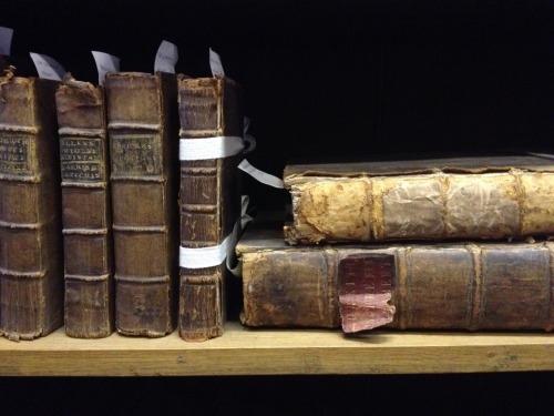 erikkwakkel: Sleeping beauties Resting, that is what these old books appear to be doing. And they de