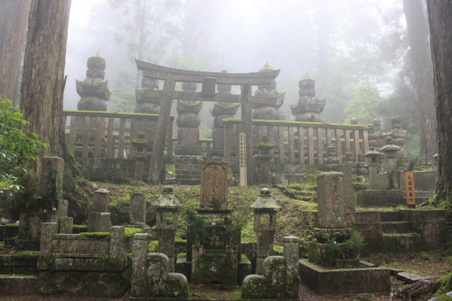 Porn quiet-nymph: Koyasan by evoly on Flickr photos