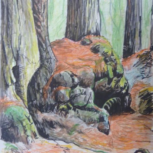 Travels with my sketchbook - Burl outcrop at Big Basin Redwoods State Park.As part of the research a