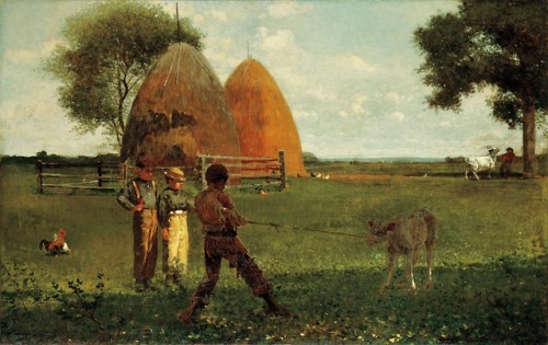 Weaning the Calf, Winslow Homer, 1875