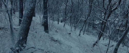 Parasite (2019) Dir.Bong Joon-ho
