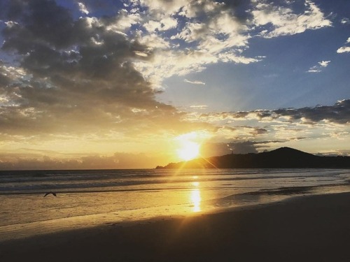 Good morning Byron Bay, come visit www.byronbay.com&hellip; @dallascarrington ・・・ Morning Byron #byr