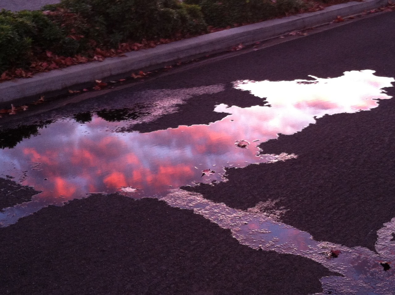 queenofcreeps:  Post-rain puddles reflecting the sunset. One of my favorite phenomenons