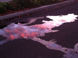 queenofcreeps:  Post-rain puddles reflecting the sunset.  